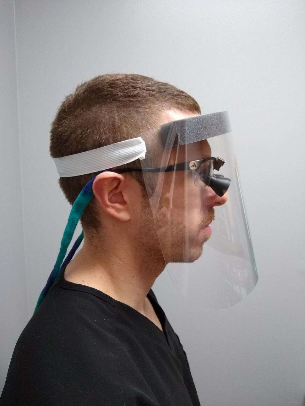 Face Shield (Package of 10)