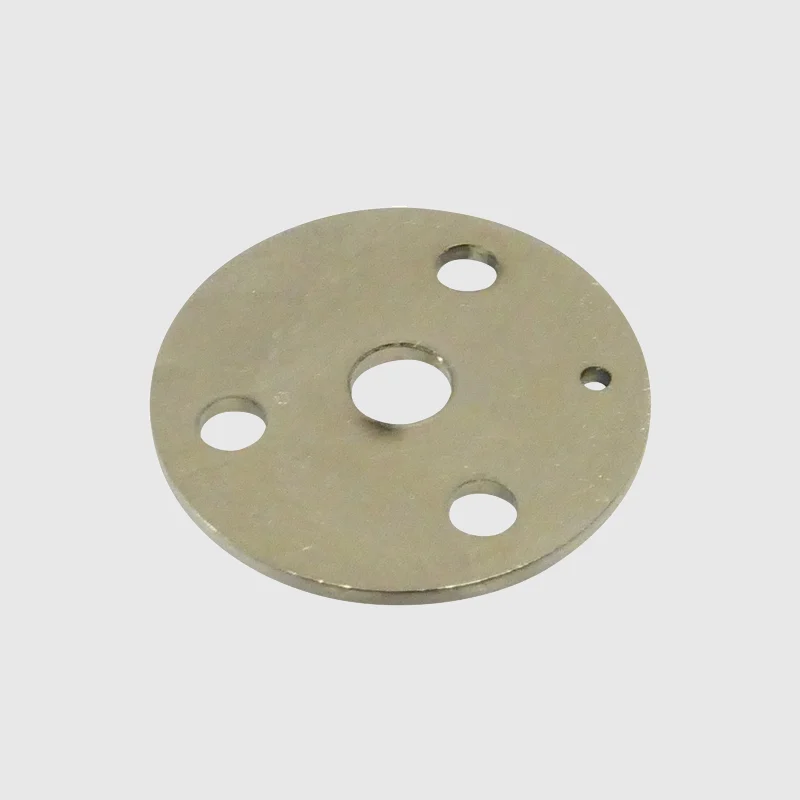 Premium Hygiene Motor Lower End Plate