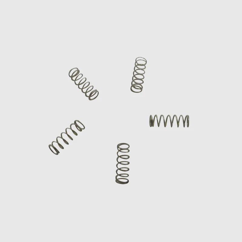 Premium Hygiene Motor Rotor Springs (Set of 5)
