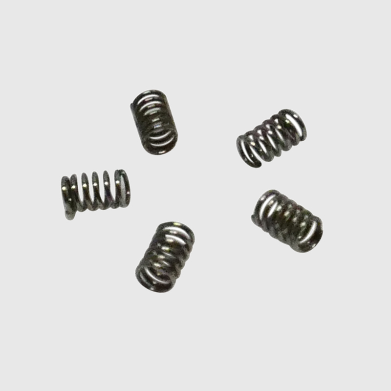 Star Titan Motor Compatible Rotor Blade Springs (Set of 5)