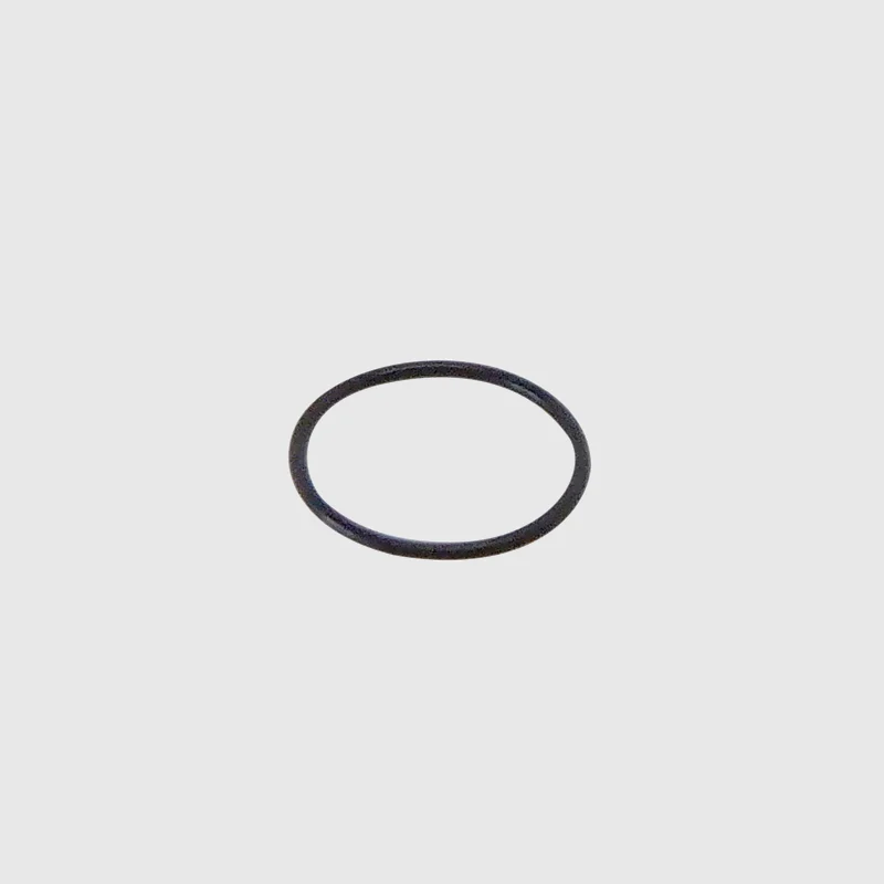 W&H WA-99 LT Double Red Band Head Cartridge O-Ring - OEM