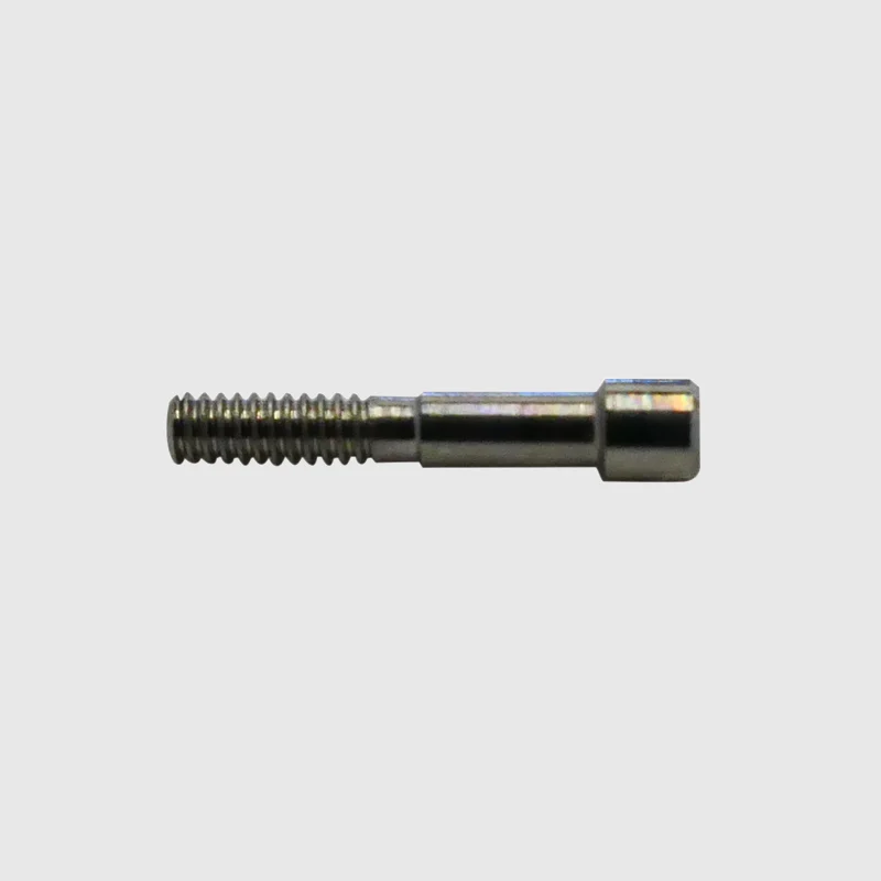 W&H WA-99 LT Double Red Band Manifold Screw - OEM