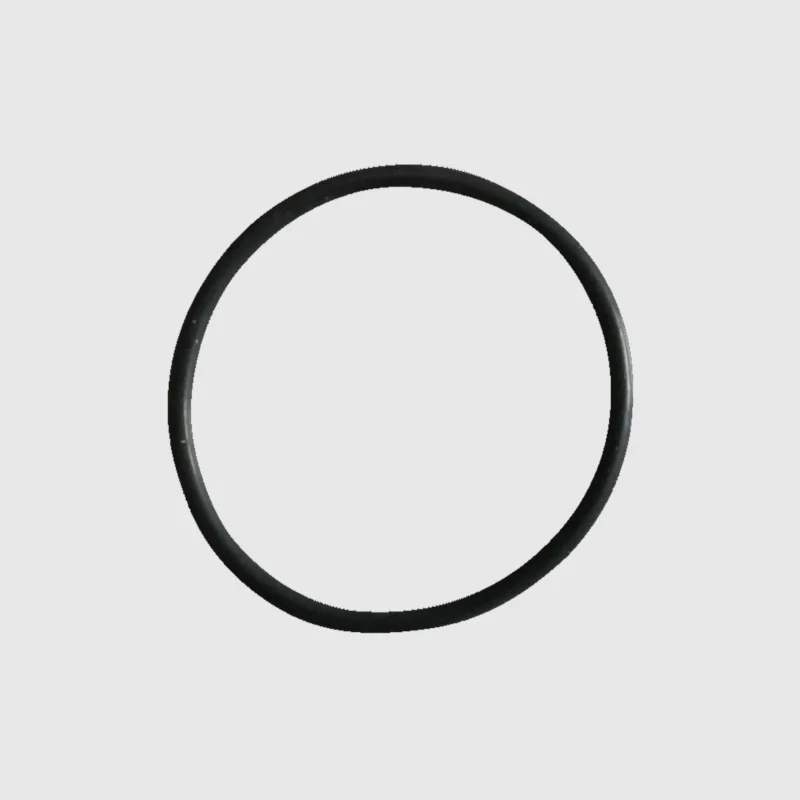 W&H WA-99 LT Single Red Band Base O-Ring - OEM
