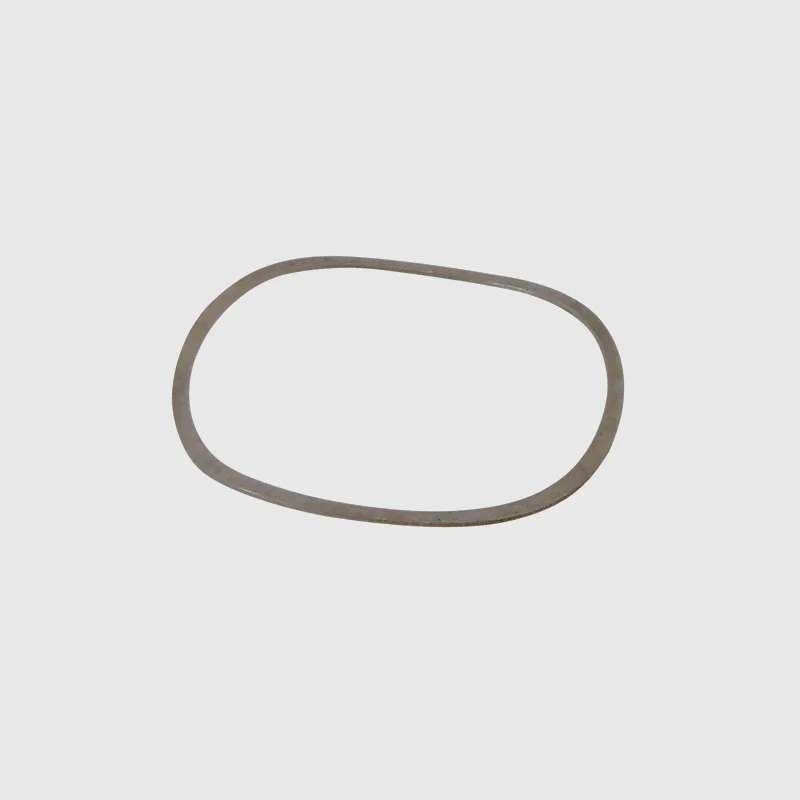 W&H WA-99 LT Spring Washer - OEM