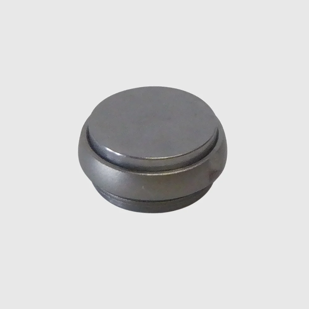 W&H WE-99 LED G Compatible Back Cap