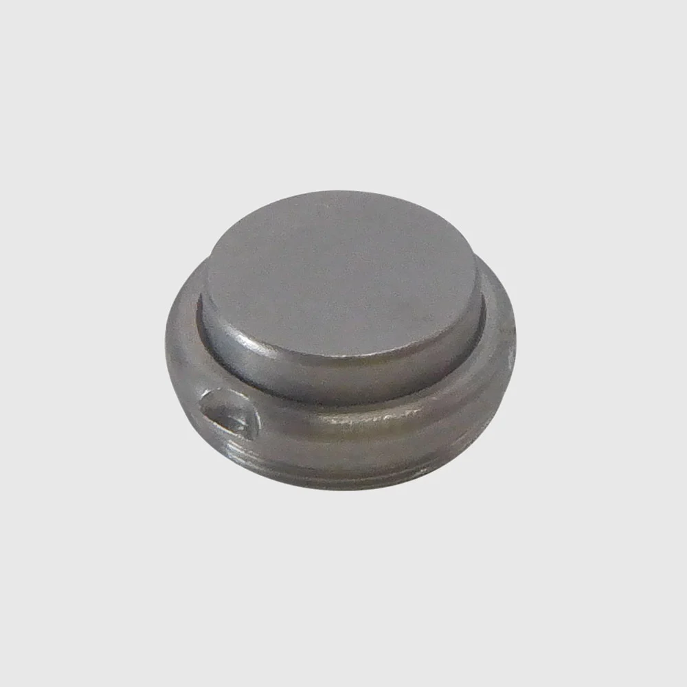 W&H WG-99 LT Compatible Push Button Back Cap