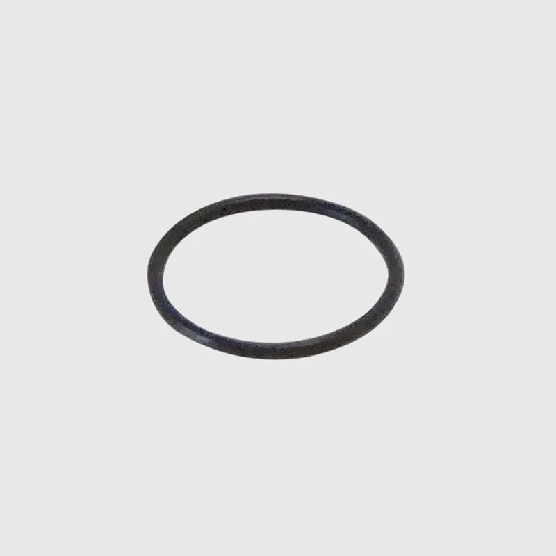 W&H WG-99 LT / WK-93 LT / LTS Head Cartridge O-Ring - OEM