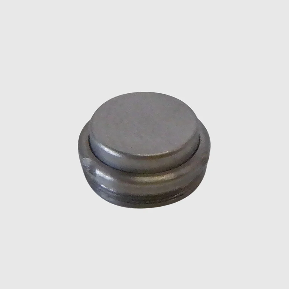 W&H WK-93 LT / LTS Compatible Back Cap